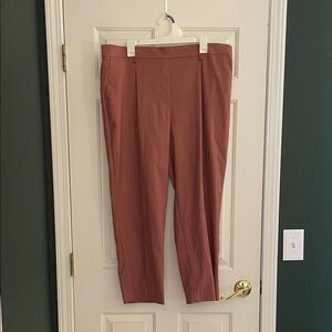 LOFT Pull-On Women's Dress Pants in Rose, XL